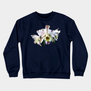 White Cattleya Orchids Crewneck Sweatshirt